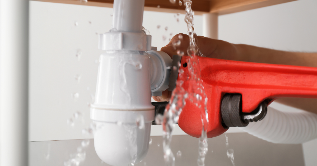 Top Plumbing Services You Need in Mandurah Year-Round
